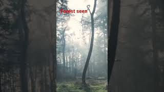 Forest seen. Discovery of world and amazing. #shorts #youtubeshorts