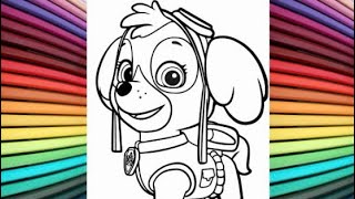 Skye Paw Patrol #skye #skyepawpatrol #colouringvideos