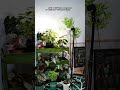 Tired of lackluster indoor plants? #sansi #plants