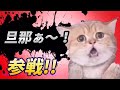 変わった鳴き声の猫 全員参戦!Part3【旦那ぁ〜!】