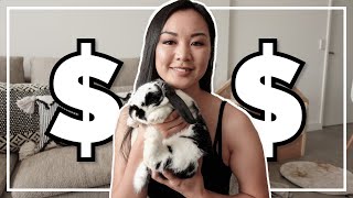 How Much Money Have I Spent on My Bunnies? 💸 by Bun's Best Life 3,120 views 2 years ago 8 minutes, 22 seconds