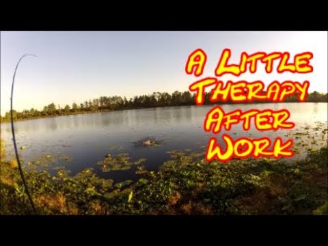 kayak flight BANK FISHING TEXAS RIG STYLE!! Bass Fishing!!