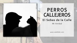 Video thumbnail of "El Sebas de la Calle - Perros Callejeros (Single Oficial)"