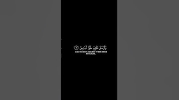 قران الكريم سورة الفيل  سورة. قران خلفيه شاشه سوداء