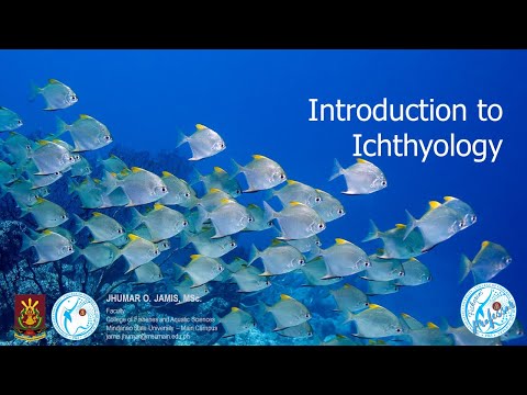 Video: Wat is ichtyologie in de biologie?