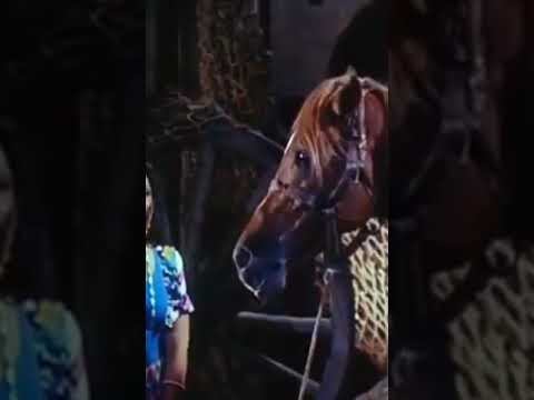 عفاف راضي يهديك يرضيك الله يخليك