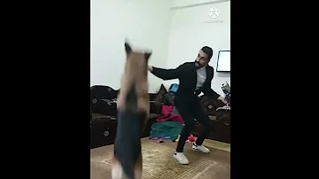 كلبي رعد يفركشكم يلا من بعض يعم انتا صاحبي المخلص ابو صلاح الرايق 