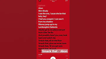 Smack That Akon Music Speedup Spotify Eminem Akon Smackthat 