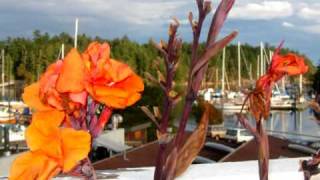 Bewley Sailing Photo Slideshow