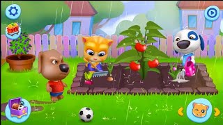 Day 019 || My Talking Tom And Friends || Gameplay