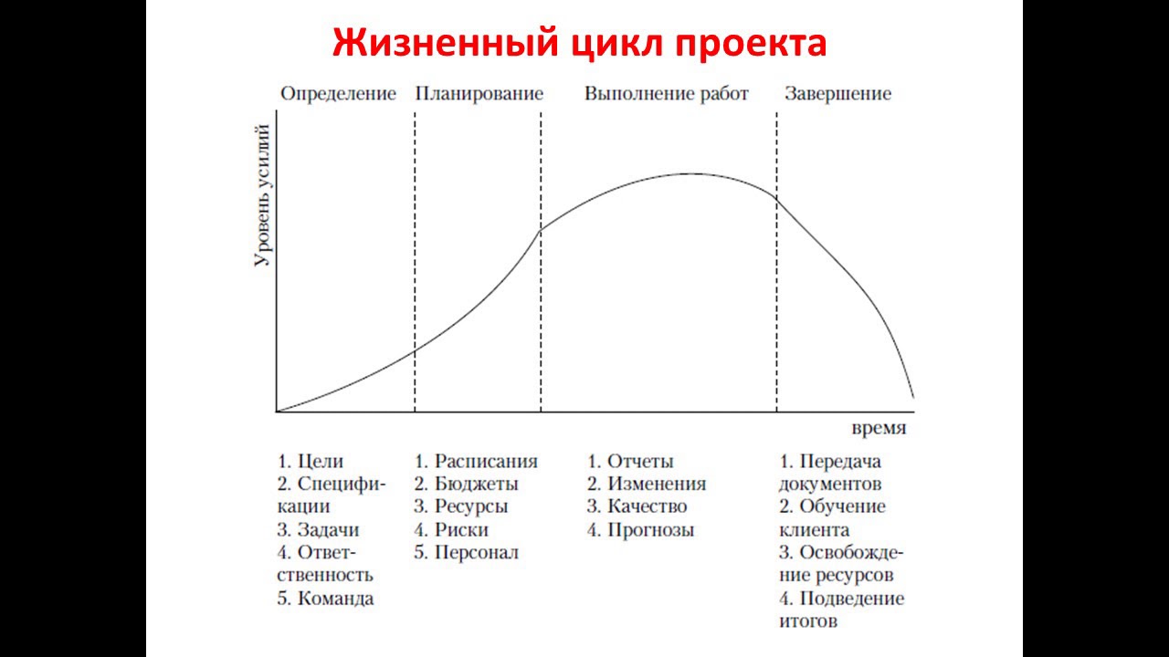 Определите особенности жизненного цикла