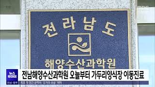 전남해양수산과학원 6.11일 부터 가두리양식장 이동진료[목포MBC 뉴스투데이]