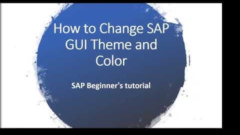 How to Change SAP GUI Theme and Color