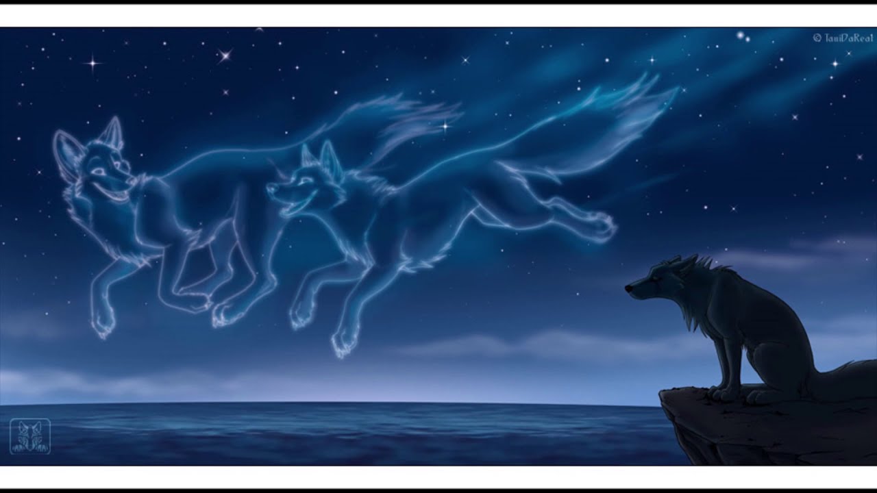 Love is gone-Sad Furries