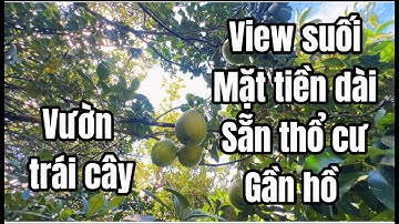 Anh Bảo bán lô đất đẹp với vườn trái cây, view suối, thổ cư, mặt tiền dài giá siêu hấp dẫn