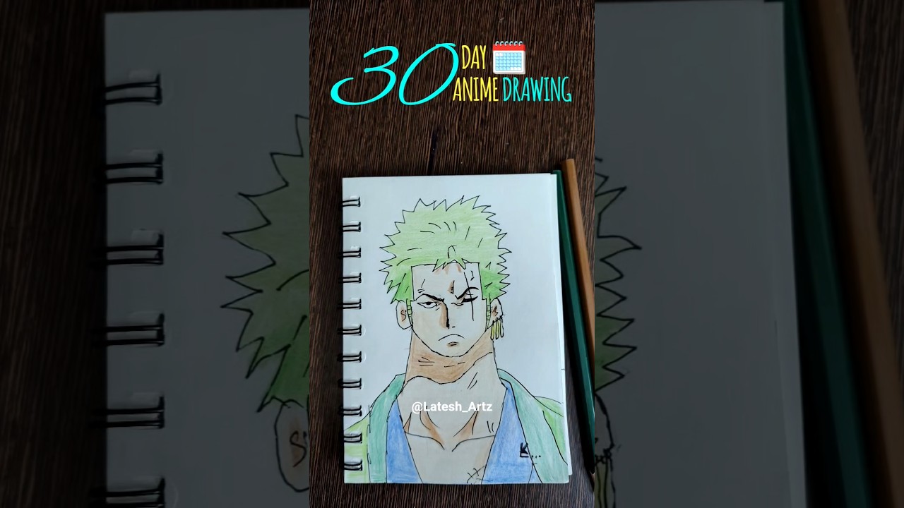 [Day-24] of 30 Days 30 Anime Drawing Challenge, Roronoa Zoro Drawing