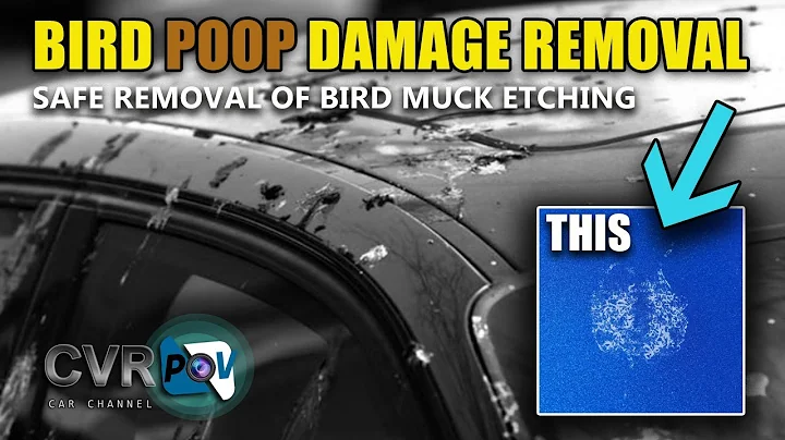Fixing Bird Muck Damage on Your Aston Martin: Quick and Affordable Method