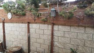 This was my solution to making our block wall higher for extra privacy. Nothing was attached to the existing block wall, and each 