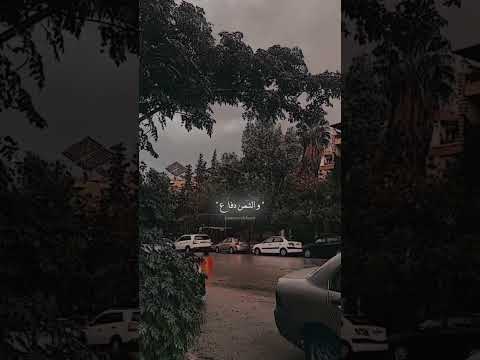 قوليلو الشامي بدون موسيقى متابعه كيفو