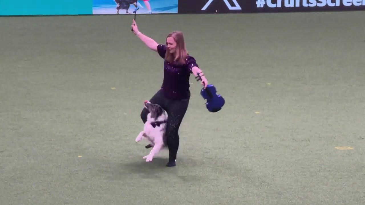 Crufts 2024 — Победитель национального фристайла. Лорна и Нора