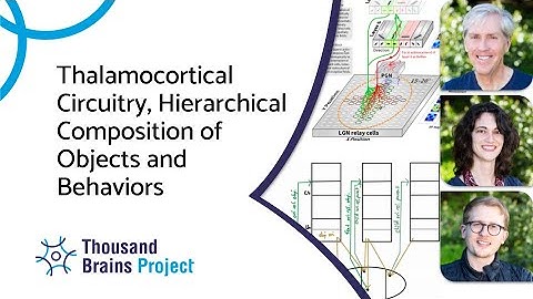 2025/03 - Thalamocortical Circuitry, Hierarchical Composition of Objects and Behaviors