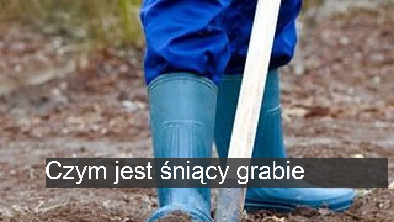 Grabie we śnie do czego służą grabie we śnie? - YouTube