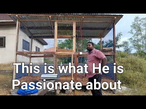 How To Start a Poultry Farm in Ghana #Africa #Ghana #Nigeria #Kenya # ...