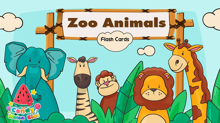Zoo Animals Flash Cards | Video Flash Cards | Learn to Talk | Vocabulary in English