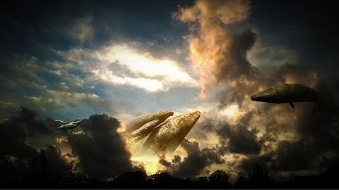 Tyrsdagar. Fine. Ill Do A 22222222 Tiw