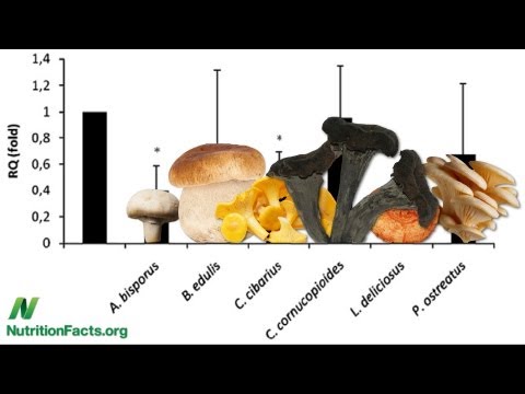 Boosting Immunity While Reducing Inflammation