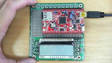 Digital Input Demonstration