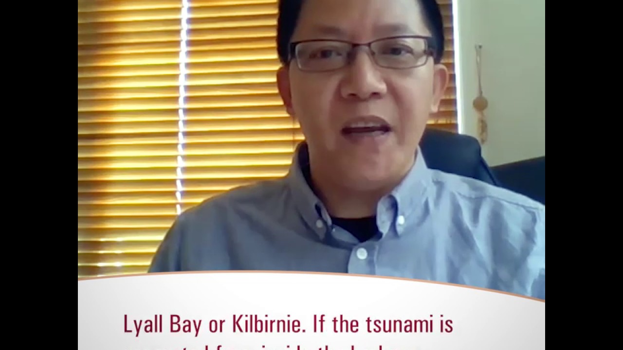 Would Wellington Harbour protect the city from a tsunami?