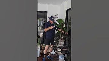 Snake catcher saves pet bird from python