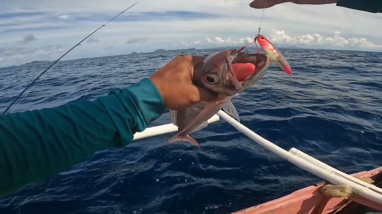 Bottom fishing ❗Using Master Ely Jig 40g × Shadrach 702...