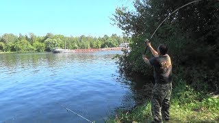 Рыбалка На Москва-Реке. Хороший Клев Недорыбы. Глубина Имеет Значение.