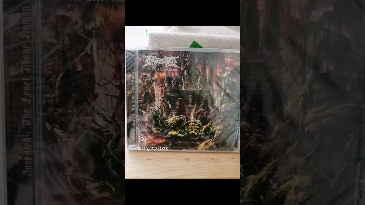 Ingested - The Level Above Human CD and tshirt 