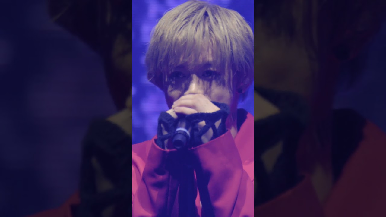 【その嘘つきな目が優しく笑うから】ウソツキ -WHITE JAM(Official Live Video)