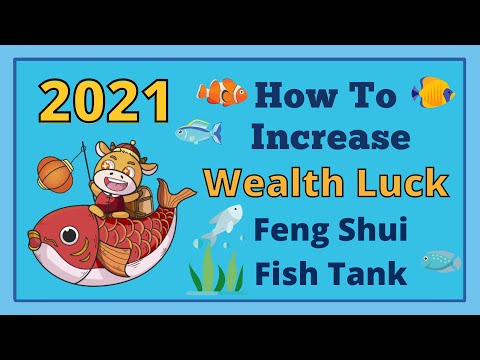 Video: Wapi Wa Kuweka Aquarium Feng Shui