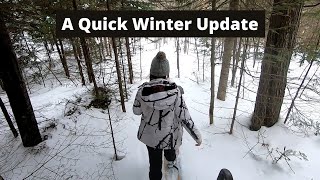 Winter Update | Why We Haven't Been Posting and What You Can Expect for 2022