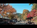 【Full HD】瀬音の湯の紅葉|Seoto-no-yu Spa Autumn leaves|Akigawa Valley|Akiruno City Tokyo Japan