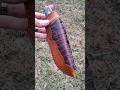 Custom knife sheath. #customleather #leathercraft #handmade #knifesheath #fyp