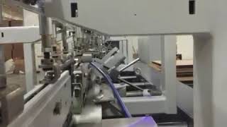 DGM SMARTVISION inline folder gluer G pack system