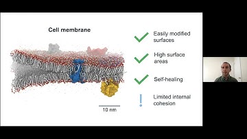 Ty Christoff Tempesta—Small molecule assemblies with a bulletproof design: The aramid amphiphile
