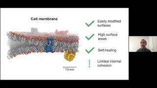 Ty Christoff Tempesta—Small molecule assemblies with a bulletproof design: The aramid amphiphile