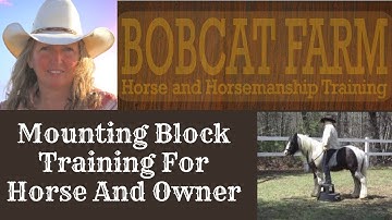 Mounting Block Training For Horse And Owner