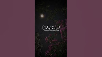 تلاوه من سورة المعارج|بصوت القارئ اسلام صبحي🎧♥️#trending #quran #قران_كريم #راحة_نفسية #قرآن
