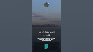 ما تيسر من سورة فصلت بصوت القارئ : عبدالله محمد اليهري #قناة_عدن_للقرآن_الكريم