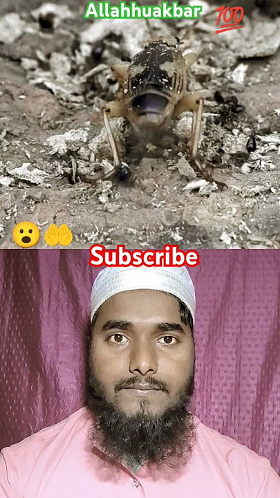 innallaha alakulli shaiinqadirallah harchizpe qudratrakh ta he#allahkiqudrat#qira#allah#allahkishaan