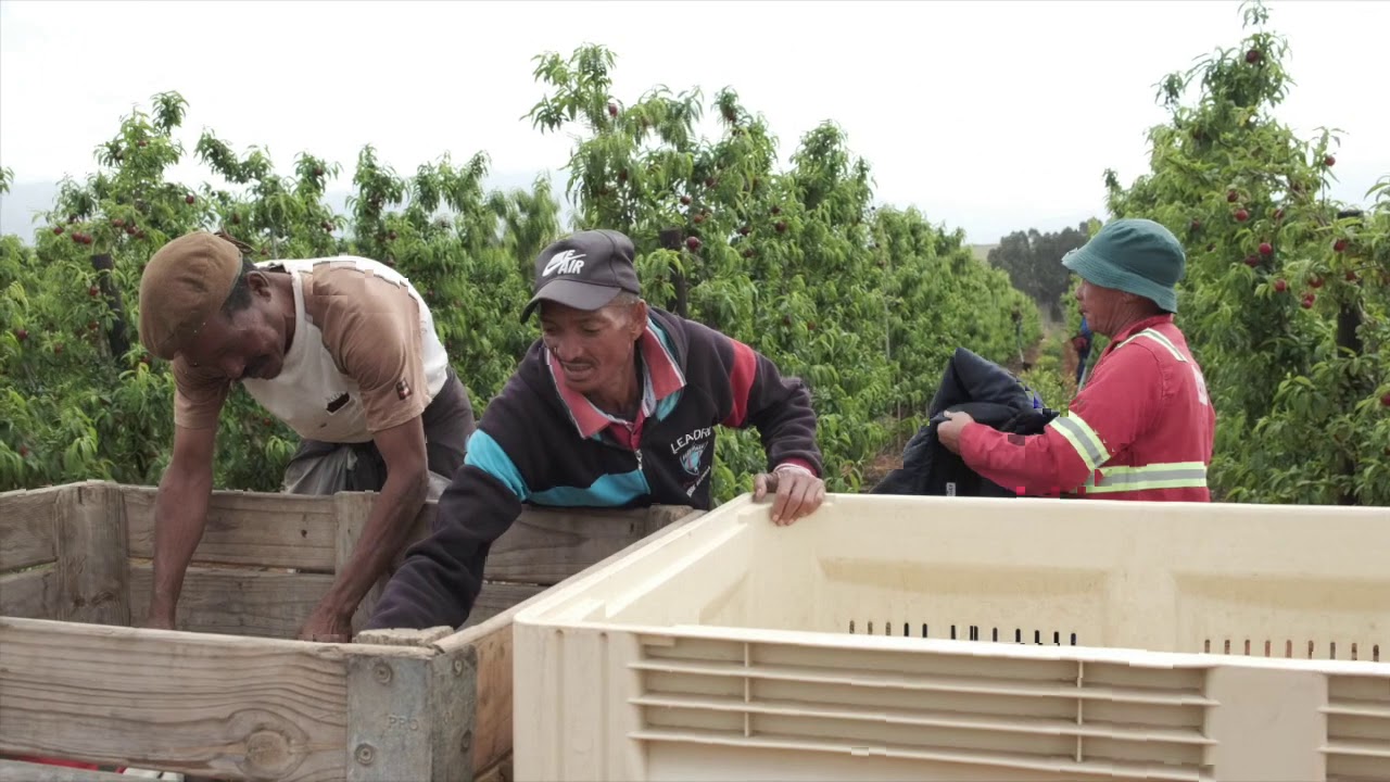 Smuts Brothers Agri - Produced by SDEV DIGITAL