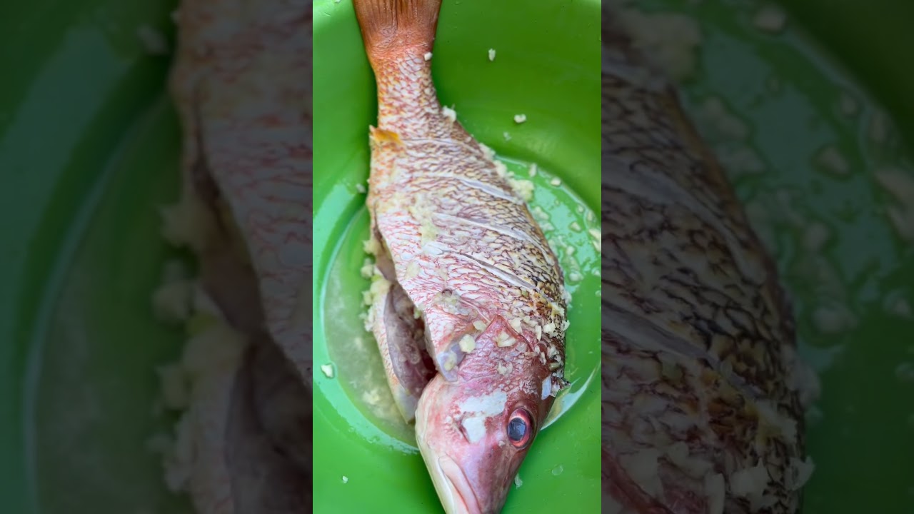 PEIXE VERMELHO INTEIRO FRITO #peixefrito#peixevernelho